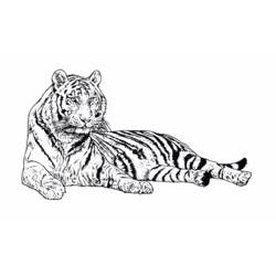 Página para colorir: Tigre (animais) #13607 - Páginas para Colorir Imprimíveis Gratuitamente