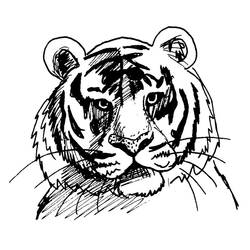 Página para colorir: Tigre (animais) #13610 - Páginas para Colorir Imprimíveis Gratuitamente