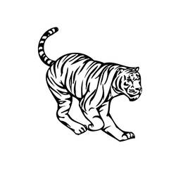 Página para colorir: Tigre (animais) #13611 - Páginas para Colorir Imprimíveis Gratuitamente