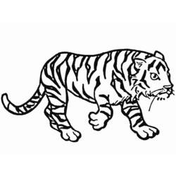 Página para colorir: Tigre (animais) #13629 - Páginas para Colorir Imprimíveis Gratuitamente