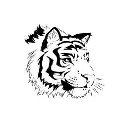 Página para colorir: Tigre (animais) #13631 - Páginas para Colorir Imprimíveis Gratuitamente