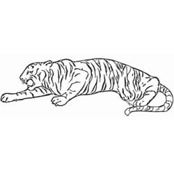 Página para colorir: Tigre (animais) #13637 - Páginas para Colorir Imprimíveis Gratuitamente