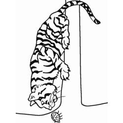 Página para colorir: Tigre (animais) #13651 - Páginas para Colorir Imprimíveis Gratuitamente