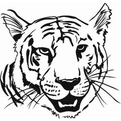 Página para colorir: Tigre (animais) #13666 - Páginas para Colorir Imprimíveis Gratuitamente