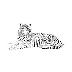 Página para colorir: Tigre (animais) #13676 - Páginas para Colorir Imprimíveis Gratuitamente