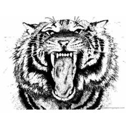 Página para colorir: Tigre (animais) #13679 - Páginas para Colorir Imprimíveis Gratuitamente