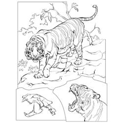 Página para colorir: Tigre (animais) #13683 - Páginas para Colorir Imprimíveis Gratuitamente