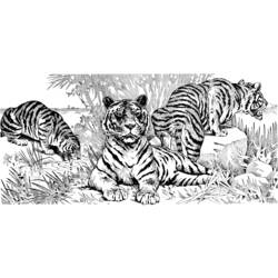 Página para colorir: Tigre (animais) #13691 - Páginas para Colorir Imprimíveis Gratuitamente