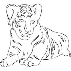 Página para colorir: Tigre (animais) #13701 - Páginas para Colorir Imprimíveis Gratuitamente