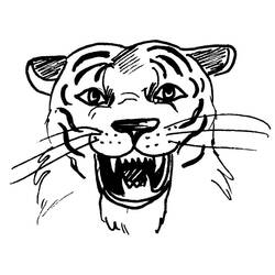 Página para colorir: Tigre (animais) #13716 - Páginas para Colorir Imprimíveis Gratuitamente