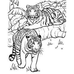 Página para colorir: Tigre (animais) #13726 - Páginas para Colorir Imprimíveis Gratuitamente
