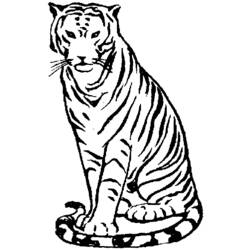 Página para colorir: Tigre (animais) #13736 - Páginas para Colorir Imprimíveis Gratuitamente