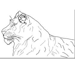 Página para colorir: Tigre (animais) #13758 - Páginas para Colorir Imprimíveis Gratuitamente