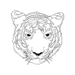 Página para colorir: Tigre (animais) #13771 - Páginas para Colorir Imprimíveis Gratuitamente