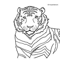 Página para colorir: Tigre (animais) #13772 - Páginas para Colorir Imprimíveis Gratuitamente