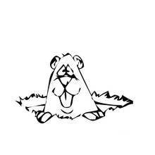 Desenho Toupeira (Animais) #19380 para imprimir e colorir
