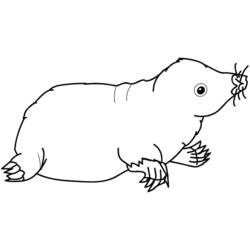 Desenho Toupeira (Animais) #19381 para imprimir e colorir
