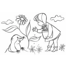 Desenho Toupeira (Animais) #19415 para imprimir e colorir