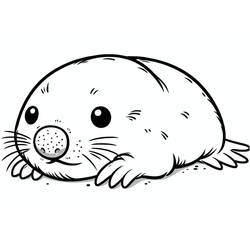 Desenho Toupeira (Animais) #210769 para imprimir e colorir