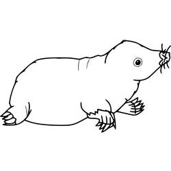 Desenho Toupeira (Animais) #210774 para imprimir e colorir