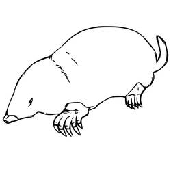 Desenho Toupeira (Animais) #210780 para imprimir e colorir