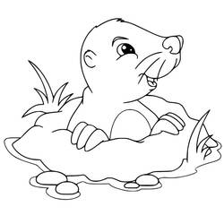 Desenho Toupeira (Animais) #210784 para imprimir e colorir