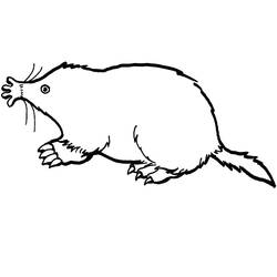 Desenho Toupeira (Animais) #210792 para imprimir e colorir