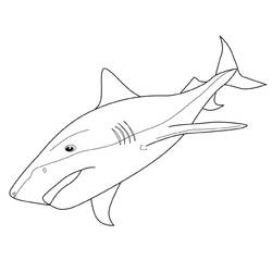 Página para colorir: Tubarão (animais) #14764 - Páginas para Colorir Imprimíveis Gratuitamente