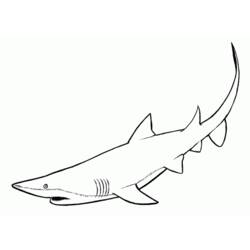 Página para colorir: Tubarão (animais) #14770 - Páginas para Colorir Imprimíveis Gratuitamente