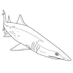 Página para colorir: Tubarão (animais) #14771 - Páginas para Colorir Imprimíveis Gratuitamente