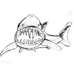 Página para colorir: Tubarão (animais) #14775 - Páginas para Colorir Imprimíveis Gratuitamente
