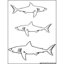 Página para colorir: Tubarão (animais) #14776 - Páginas para Colorir Imprimíveis Gratuitamente