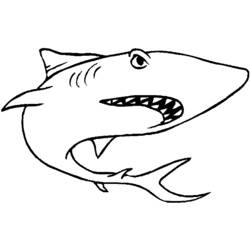 Página para colorir: Tubarão (animais) #14779 - Páginas para Colorir Imprimíveis Gratuitamente