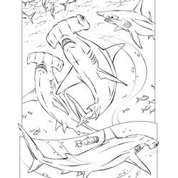 Página para colorir: Tubarão (animais) #14784 - Páginas para Colorir Imprimíveis Gratuitamente