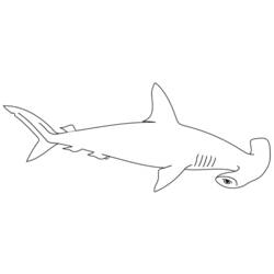Página para colorir: Tubarão (animais) #14787 - Páginas para Colorir Imprimíveis Gratuitamente