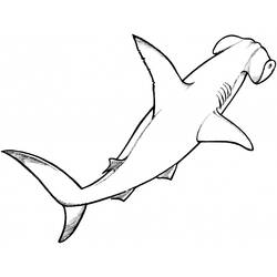 Página para colorir: Tubarão (animais) #14798 - Páginas para Colorir Imprimíveis Gratuitamente