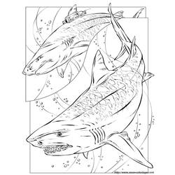 Página para colorir: Tubarão (animais) #14799 - Páginas para Colorir Imprimíveis Gratuitamente