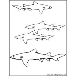 Página para colorir: Tubarão (animais) #14800 - Páginas para Colorir Imprimíveis Gratuitamente