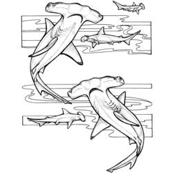 Página para colorir: Tubarão (animais) #14805 - Páginas para Colorir Imprimíveis Gratuitamente