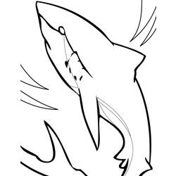 Página para colorir: Tubarão (animais) #14822 - Páginas para Colorir Imprimíveis Gratuitamente