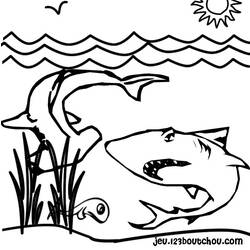 Página para colorir: Tubarão (animais) #14831 - Páginas para Colorir Imprimíveis Gratuitamente