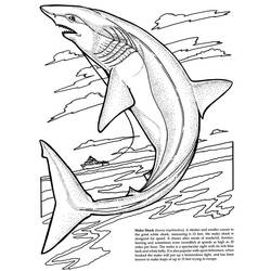 Página para colorir: Tubarão (animais) #14839 - Páginas para Colorir Imprimíveis Gratuitamente