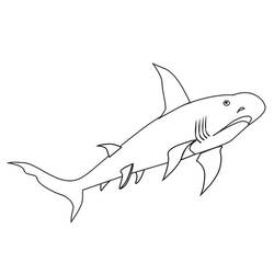 Página para colorir: Tubarão (animais) #14851 - Páginas para Colorir Imprimíveis Gratuitamente