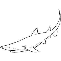 Página para colorir: Tubarão (animais) #14871 - Páginas para Colorir Imprimíveis Gratuitamente
