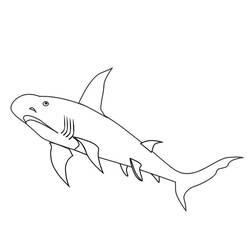 Página para colorir: Tubarão (animais) #14882 - Páginas para Colorir Imprimíveis Gratuitamente