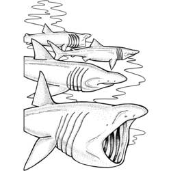 Página para colorir: Tubarão (animais) #14902 - Páginas para Colorir Imprimíveis Gratuitamente
