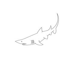 Página para colorir: Tubarão (animais) #14906 - Páginas para Colorir Imprimíveis Gratuitamente