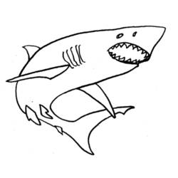 Página para colorir: Tubarão (animais) #14911 - Páginas para Colorir Imprimíveis Gratuitamente
