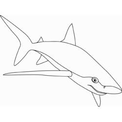 Página para colorir: Tubarão (animais) #14917 - Páginas para Colorir Imprimíveis Gratuitamente
