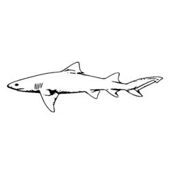 Página para colorir: Tubarão (animais) #14920 - Páginas para Colorir Imprimíveis Gratuitamente